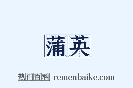 蒲英是什么意思的图片